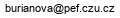 email image